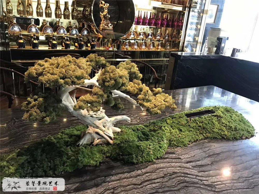 成都白色龍骨仿真松樹(shù)植物 (1)
