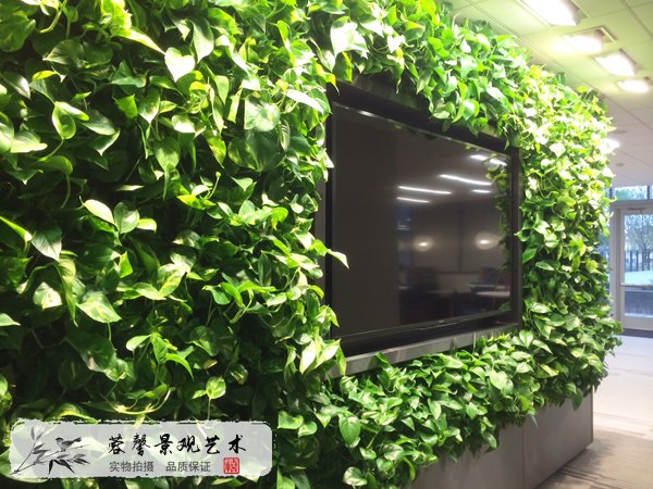 室內電視背景植物墻
