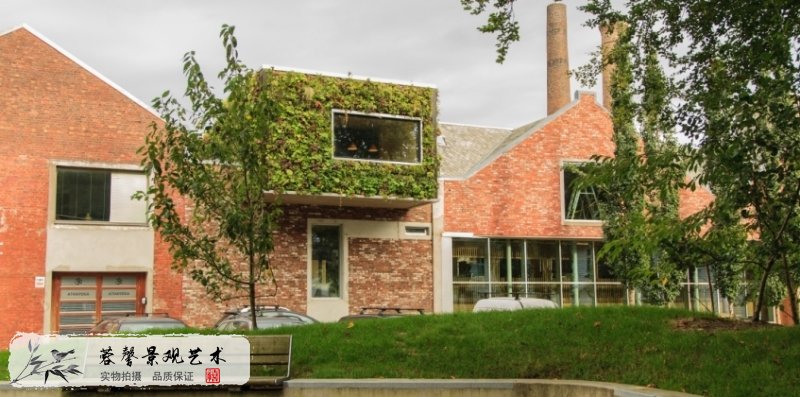 室內植物墻設計