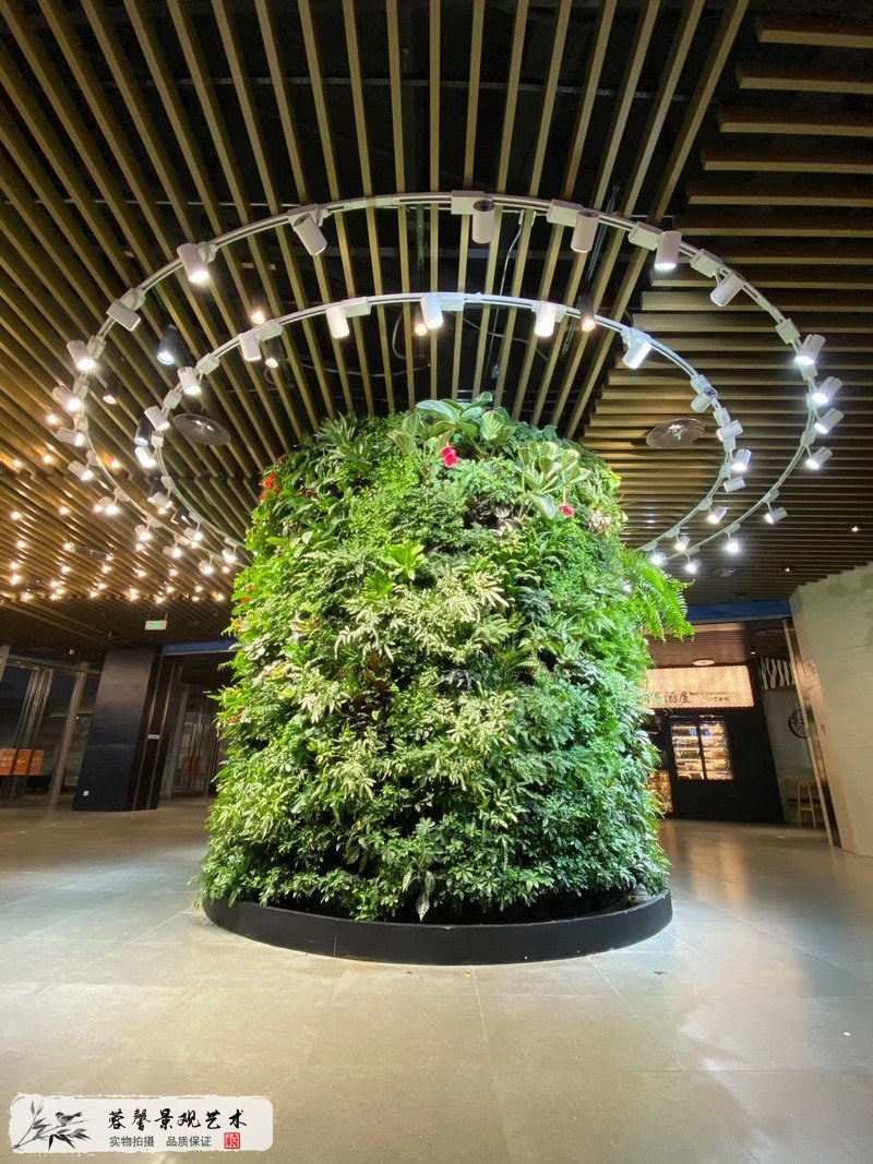 開(kāi)一家植物墻公司