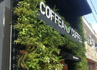 室內(nèi)植物墻做法和設計