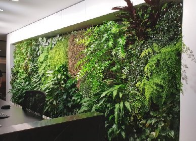 室內(nèi)植物墻設計