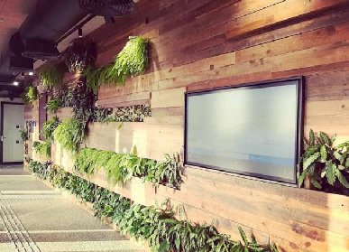 室內(nèi)植物墻設計