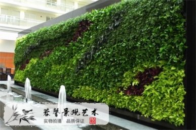 垂直綠化樹(shù)種