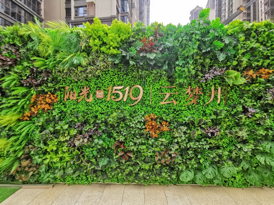 1620263221829479.jpg IMG_20200606_110009.jpg