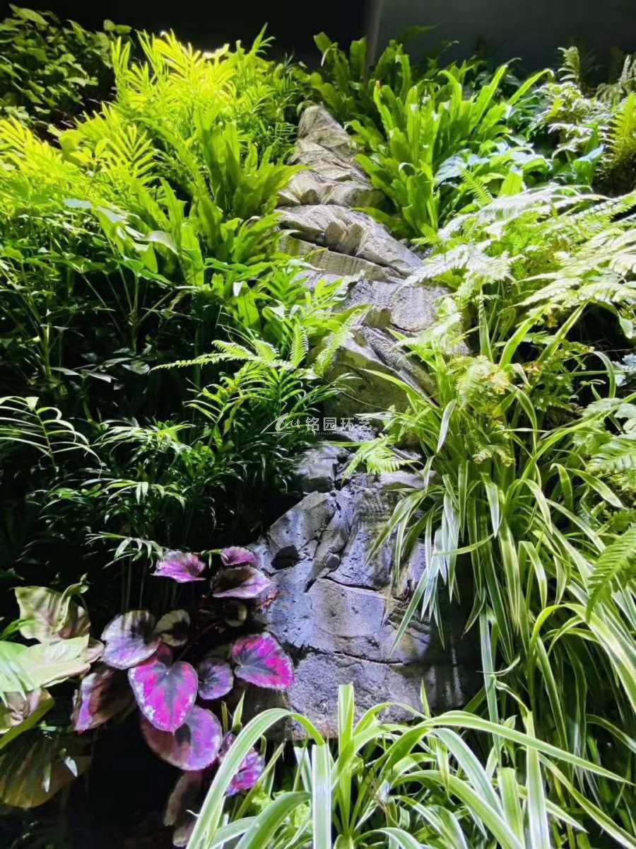 中式風格室內(nèi)植物墻