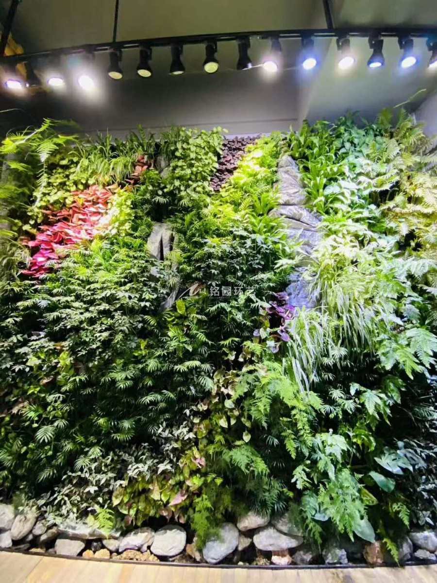中式風格室內(nèi)植物墻